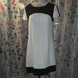 Sense Classic Black & White Short Sleeve Shift Dress